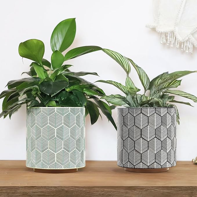 GUGUGO Plant Pots Hexagonal Pattern, Boho Modern Planters for Indoor Plants, Unique Decorative Flower Planter Pot with Drainage, Cute Small Succulent Pots, Eclectic Funky Gardening Pot Gifts, White