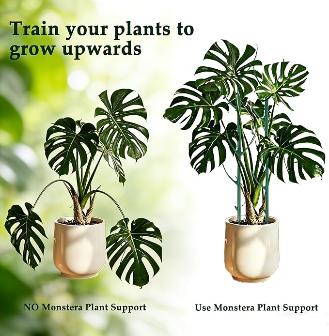 10PCS Monstera Plant Support, Stackable Plant Stakes for Indoor Plants, Plant Sticks Support Tall for Climbing Potted Plants