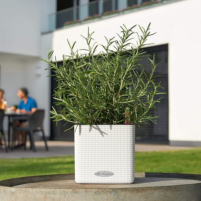 Lechuza 13384 Cube Color 14 Self-Watering Planter for Indoor and Outdoor Use, 6" x 6" x5", Slate