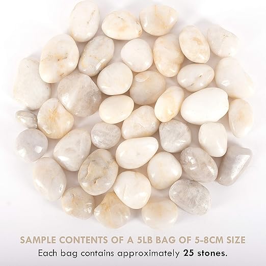 5 lbs Approx. 25 White River Rocks Stones for Plants Pebbles for Indoor Plants | Aquarium Fish Tank Rocks | Polished Decorative Rocks for Vases (2-3 Inches)