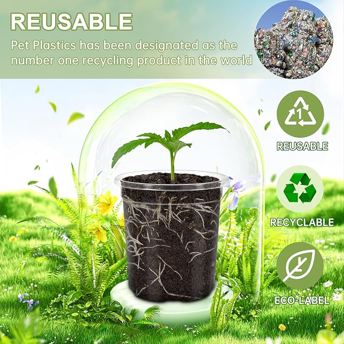 30 Packs 5 Inch Reinforced Clear Nursery Pots for Plants with Drainage Holes, High Transparency Plastic Seedling Plant Pot with 20 Labels
