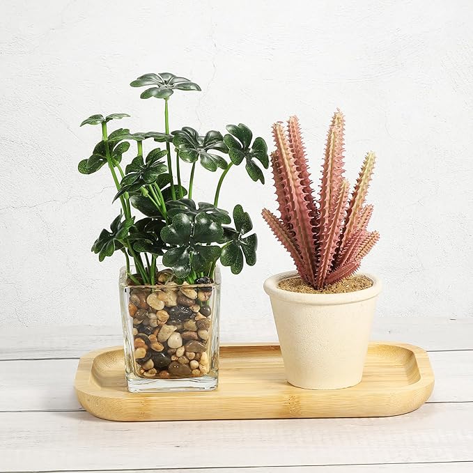 PATIKIL Wood Saucer, 10x6 Inch Rectangular Wooden Plant Drainage Tray Bonsai Plants Saucer Succulent Pot for Home Balcony Patio