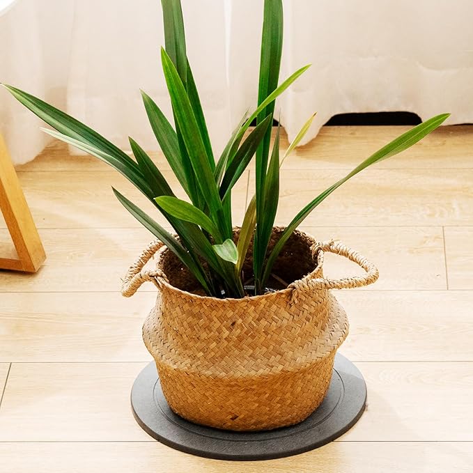 MUDEELA Diatomaceous Earth Plant Saucers for Indoor & Outdoor, 3 Pack of 12 Inches Round Plant Tray Plant Dish Pant Plate to Catch Water for Flower and Plant Pot, Instant Drying Stone Drainage Tray