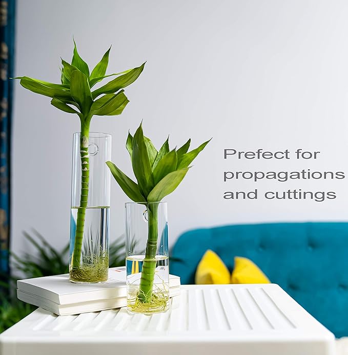 2 Pack Wall Hanging Planters Glass Terrariums - Cylindrical Plants Holders Air Plants Succulents Planters Flowers Glass Wall Vase Containers for Decor Indoor Garden