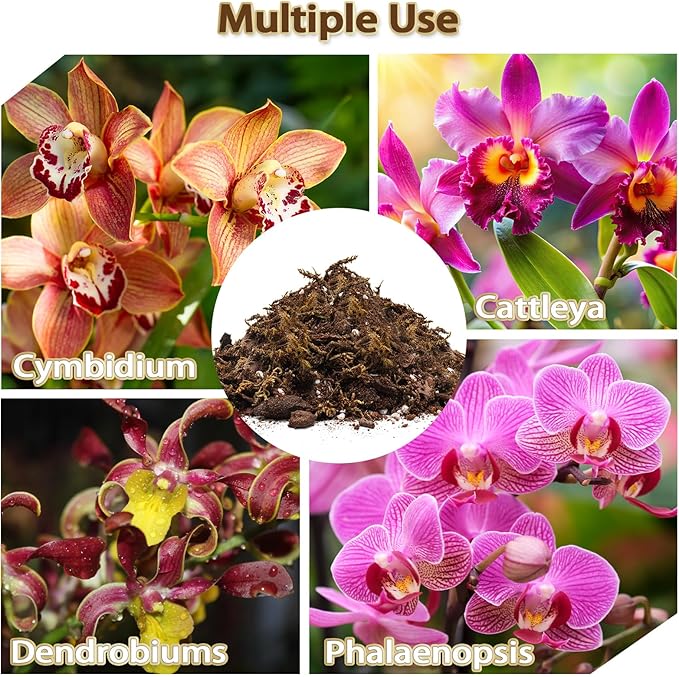 Orchid Potting Mix, Premium Orchid Soil for Repotting with Natural Pine Bark, Perlite, Coco Peat and Moss, Well-Draining Orchid Mix for Indoor Plant, Orchid, Succulents - 1QT