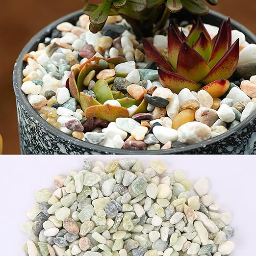 MIDELONG 0.44Lb Succulents and Cactus Bonsai DIY Rocks, Jade Bean Pebbles Natural Decorative Polished Stones Vase Fillers Gravel River Rocks for Indoor Plants,Terrarium,Fairy Gardening (6mm-9mm)
