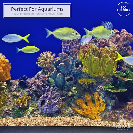 River Rocks Decorative Ornamental Vase Filler Aquarium Gravel Natural, Mini 5 lbs - Landscaping Pebbles for Indoor Plants, Fish Tank Gravel, Terrarium & Home Decor, DIY & Crafting – Royal Imports