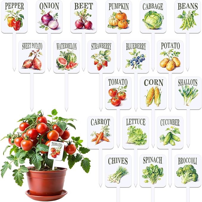 AnyDesign 20Pcs Acrylic Vegetable Plant Label Signs Garden Markers 20 Styles Vintage Vegetable Fruit Waterproof Potted Plant Stake Tags with Names for Nursery Indoor Outdoor Garden Decor