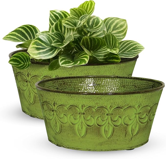Headwind Ironlite Fleur De Lis Collection – 8" Tansy Green Bowl Decorative Planter with Drain Plug – Lightweight Metal Garden Pots for Indoor & Outdoor Planters Use by Robert Allen
