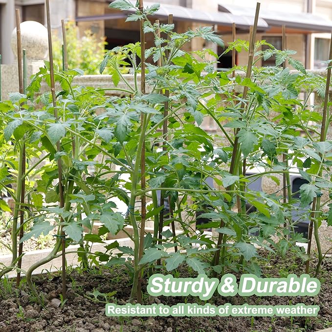 50Pack Bamboo Stakes for Plants, Bamboo Poles Eco-Friendly, Plant Stakes for Tomato, Bean, Flowers,Trees Potted and Climbing Plant,Natural Garden Stakes 4.8FT Height