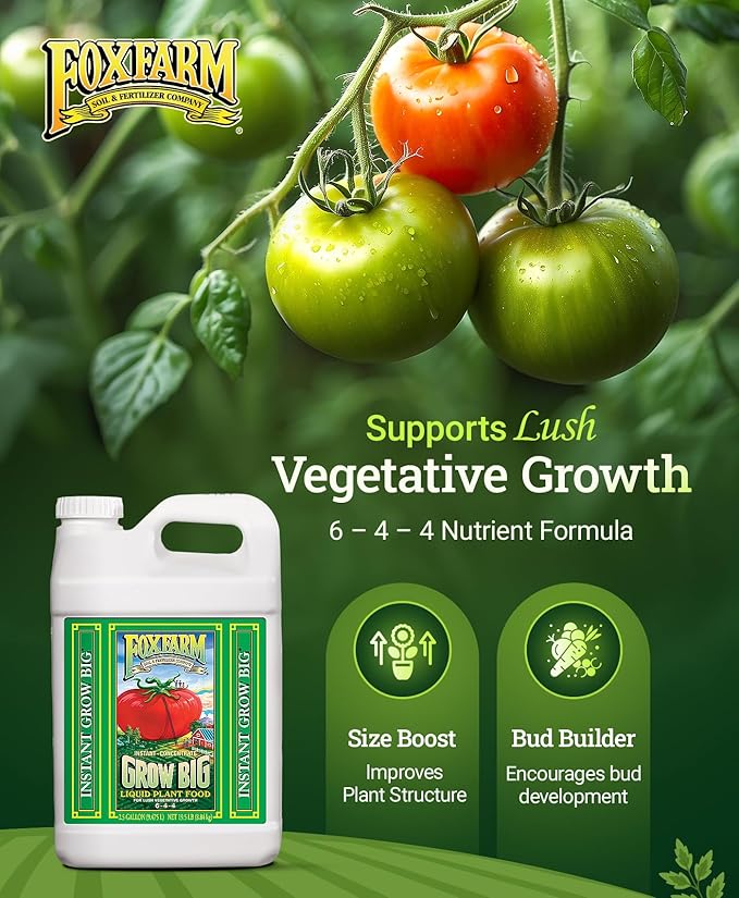 FoxFarm Grow Big Liquid Plant Food - Bloom Fertilizer for Flowers, Fruits, and Vegetables, Perfect for Indoor & Outdoor Potted Plants, NPK 6-4-4 (2.5 Gallons)