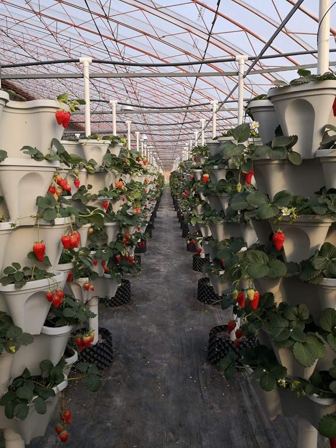 Mr. Stacky 18 inch Large Stackable Planters (Terra-Cotta) Out Door Garden. Vertical Planter. Made USA. Easy to Set up Save a Space. Save a Water.