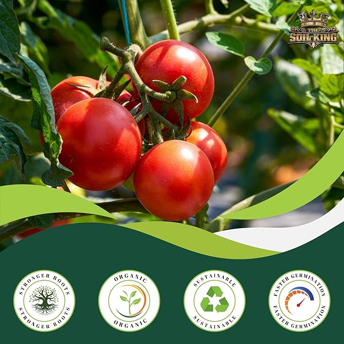 Soil King Big Rootz Organic Potting Soil Mix, CDFA & EnvirOganic Certified, pH Adjusted with Mycorrhizae, Balanced Fertilizers & Minerals for Long-Lasting Nutrition, Indoor & Outdoor Use, 40 lb