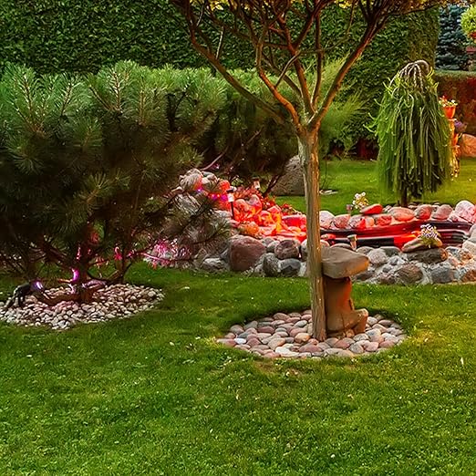 20 lbs River Rocks for Landscaping, 2"-3" Garden Rocks Outdoor Landscaping, Decorative Patio Stones for Planters, Flower Pots, Vase, Walkways, Yard, Natural Rocks for Aquarium, Fish Tank