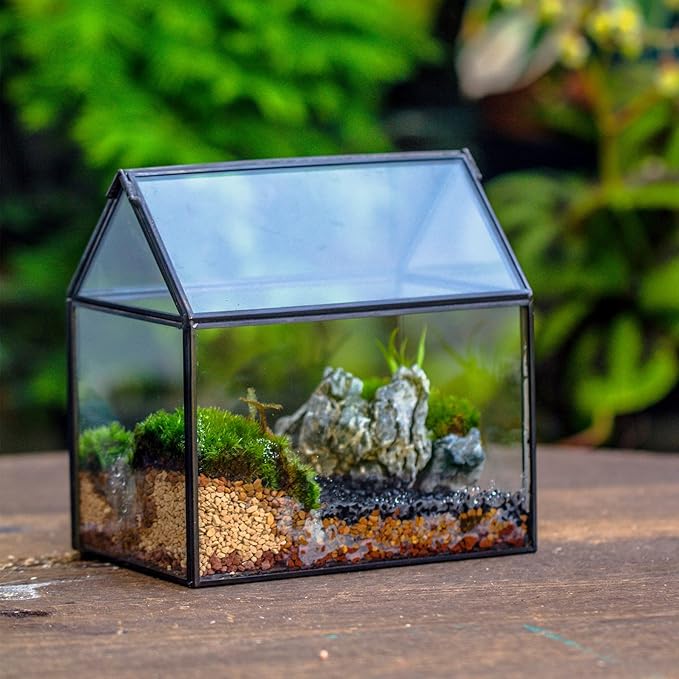 NCYP Small Glass Terrarium with Lid for Plant Succulent - 6.1 X 4.33 X 6.3 Inches - House Shape Flower Pot, Garden Tabletop Decor Planter, Geometric Centerpiece, Black (No Plants)