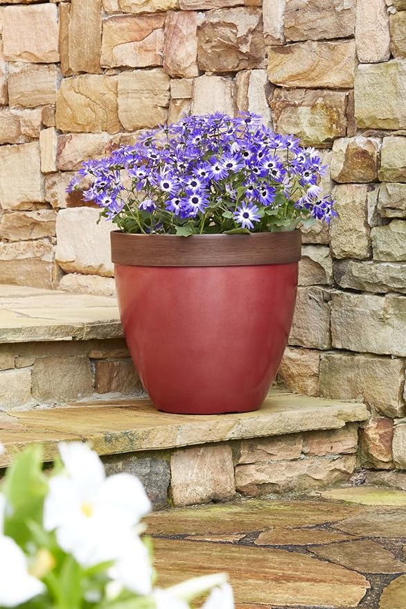 Southern Patio Hornsby Resin Outdoor Planter with Drainage Hole and Plug, Red