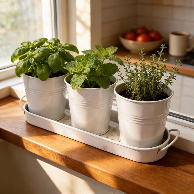Metal Herb Garden Planter Set with Tray, 3-Pack White Zinc-Coated Windowsill Plant Pots with Drainage Holes & Handles for Indoor Outdoor Kitchen Garden