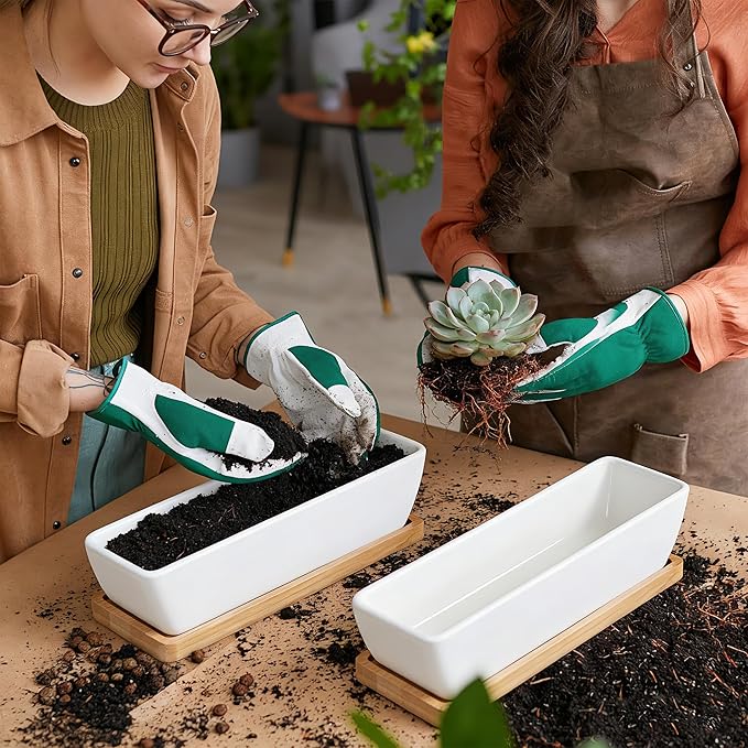 White Ceramic Succulent Planters, Indoor and Outdoor Succulent Planters, Set of 2 Cactus Containers, Bonsai Pots, Flower Pots with Drainage Hole and Bamboo Bowl (No Plant)