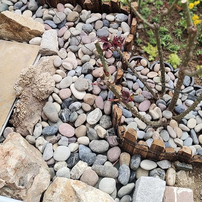 10 lbs River Rocks, 2-3 Inch Natural Pebbles for Plants, Landscaping, Garden, Aquarium, Backyard and Indoor Water Fountains