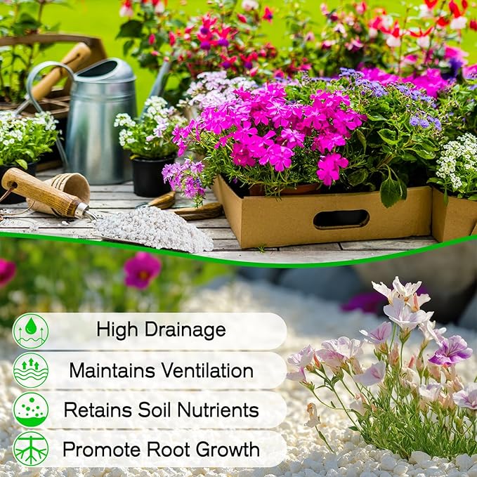 Perlite,Premium Oraganic Perlite Soil Amendment for Plant,Porous Volcanic Rock, Aeration & Drainage Enhancer, Ideal for Succulents, Flower Plants, Hydroponics-2 QT
