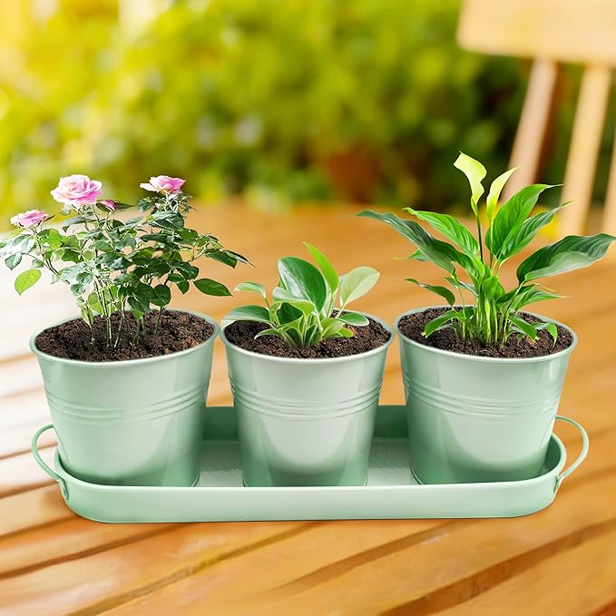 TCBWFY Indoor Herb Garden Planter Set, 3-Pack 4.7 Inch Green Metal Plant Pots with Drainage Holes & Removable Tray, Windowsill Planter for Kitchen Countertop, Balcony, Office