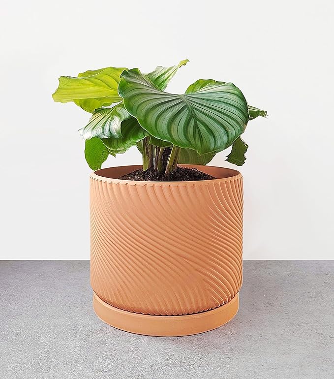 7" Unglazed Terracotta Planter with Drainage Hole & Saucer, Modern Minimalist Plant Pot for Home & Garden