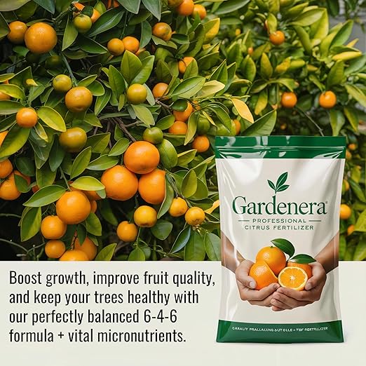𝐁𝐄𝐒𝐓𝐒𝐄𝐋𝐋𝐄𝐑 Citrus Fertilizer + Vital Micronutrients - Perfect Balanced NPK for All Citrus - for Indoor and Outdoor Plants - Orange, Lime, Avocado and Lemon Tree Fertilizer - 2 QUARTS