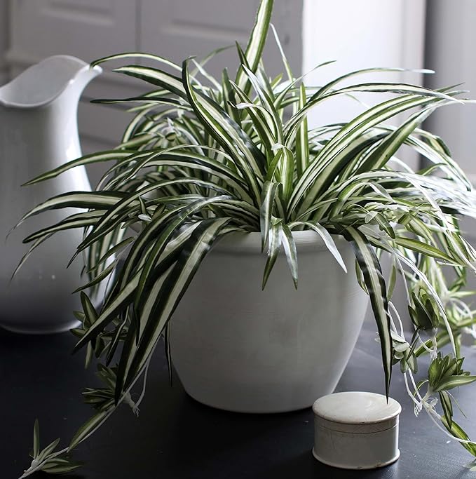 The HC Companies Sevilla Flower Planters - Outdoor & Indoor Planter - Round Self Watering Plant Pots for Herbs & More (12”, White, Pack of 1)