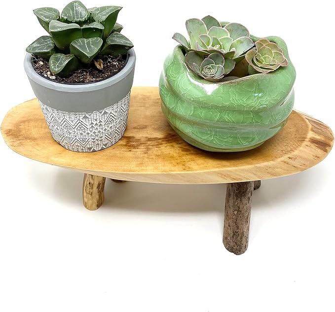 TJ Global Rustic Small Long Wood Slice Plant Stand, Mini Wooden Stool Vase Stand, Display Stand, Perfect for Home Decor in Any Room Office Garden L9.5 x W3.5 x H3 (1 Stand)
