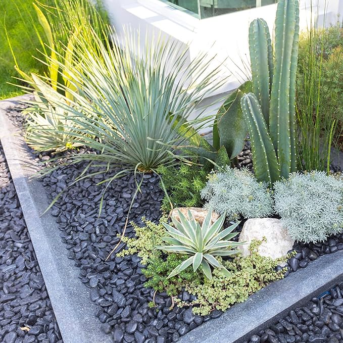 5 lbs Black Pebbles for Indoor Plants, 1-2 Inch Decorative Black River Rocks for Plants, Garden Landscaping, Vase, Yard Walkway, Paving and Outdoor Decorative Stones