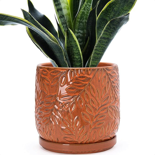 D'vine Dev 8 Inch Embossed Leaves Stoneware Planter Pot with Drainage Hole and Saucer, Pumpkin, 27-A-Q-J
