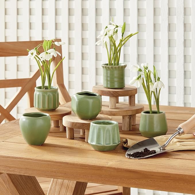 Napa Home & Garden DEZIE MINI POTS Set of 6 Green
