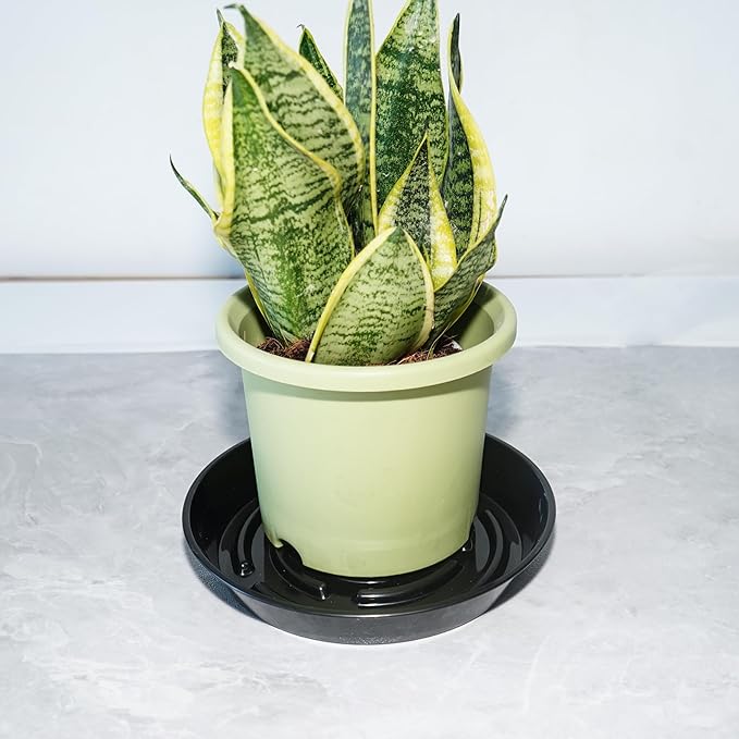 10 Packs Plant Saucer Pot Tray, 6 8 10 inch Flower Planter Saucers and Drip Trays, Plastic Flower Planter Saucers for Indoors Outdoors, Heavy Durable Plant Plate Water Catcher, Black