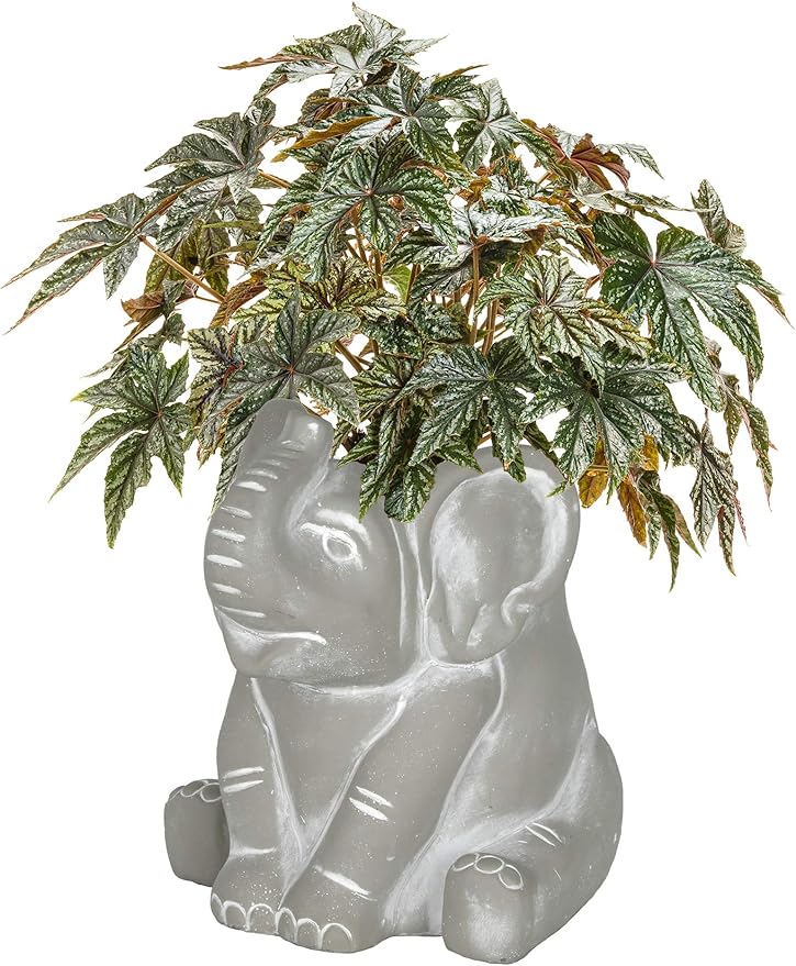 Classic Home and Garden Cement Buddies Animal Planter - Cute Desk Decoration - UV Coated Animal Vase w/Removable Drain Plug - Succulent Planter for Indoor/Outdoor Use (Elephant, Natural, Small)
