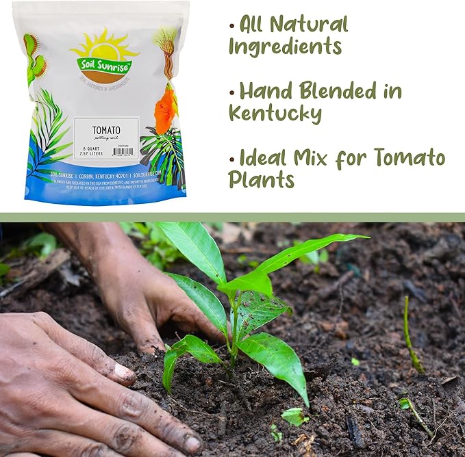Soil Sunrise All Natural Tomato Starter/Potting Mix (8 Quarts) Perfect Backfill for Outdoor Tomato Plant Holes, Hand Blended with Natural Ingredients Including Worm Castings