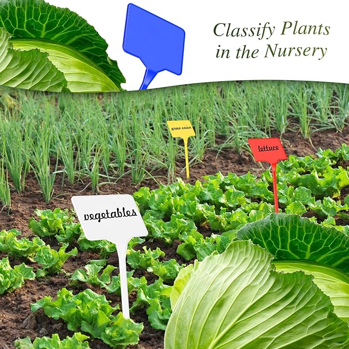 Marsui 202 Pcs Large Plant Labels Kit, Include 100 Outdoor Plastic Plant T Type Tags Waterproof Reusable Plants Markers Stakes, 100 PET Films and 2 Marker Pens for Herbs Pot (Multicolor,6 Inch)