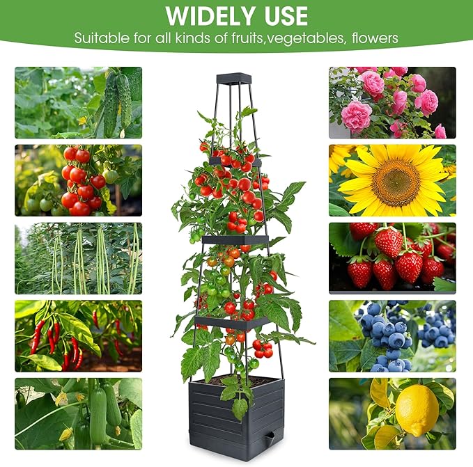Self-Watering Garden Bed, Raised Garden Bed Planter Box Outdoor, 58” Tomato Cage Planter for Vegetables, Flowers, Herbs, and Fruit, Outdoor Indoor,5 Gallon Capacity