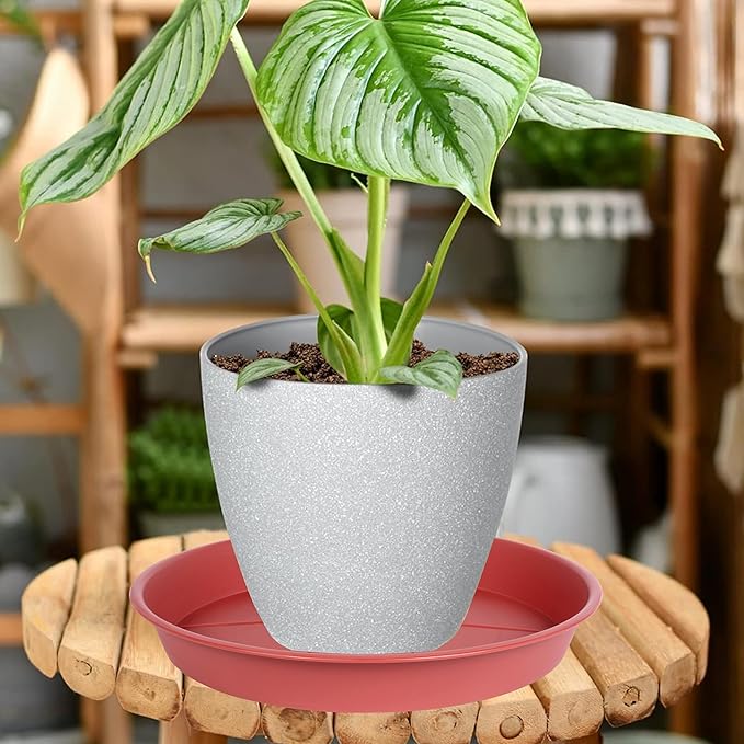 6 Pack of Plant Saucer Tray 7 8 inch, Heavy Duty Plastic Pot Plant Drip Trays Saucers for for Indoors Outdoor, Plant Water Tray for Planters 7-9" (8", Clay)