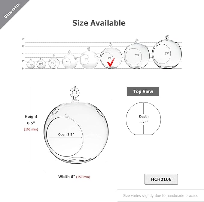 WGV Hanging Terrarium Globe, Width 6", Height 6.5", DIY Air Succulent Planter, Clear Glass Vase Orb with Flat Bottom, Candle Holder for Windowsill Outdoor Garden Decor, 6 Pieces Bulk