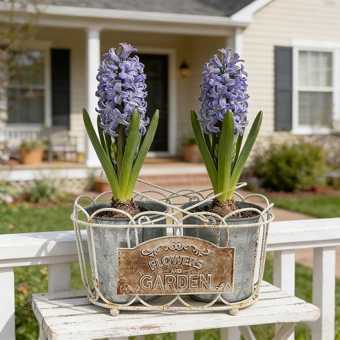 Vintage 2-Piece Metal Planter Set, Distressed White Iron Wire Basket with Flowers Garden Sign, Rustic Farmhouse Plant Pots for Tabletop, Window Sill & Balcony Decor