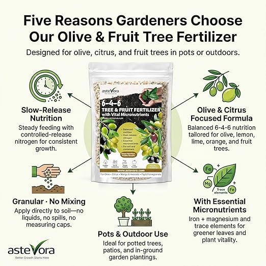 Olive Tree Fertilizer – Fruit Tree Fertilizer for Olive Tree, Citrus, Lemon, Lime, Fig, Avocado, Mango, Apple & Pomegranate – for Potted & Outdoor Trees (20 quarts - 40 lbs.)