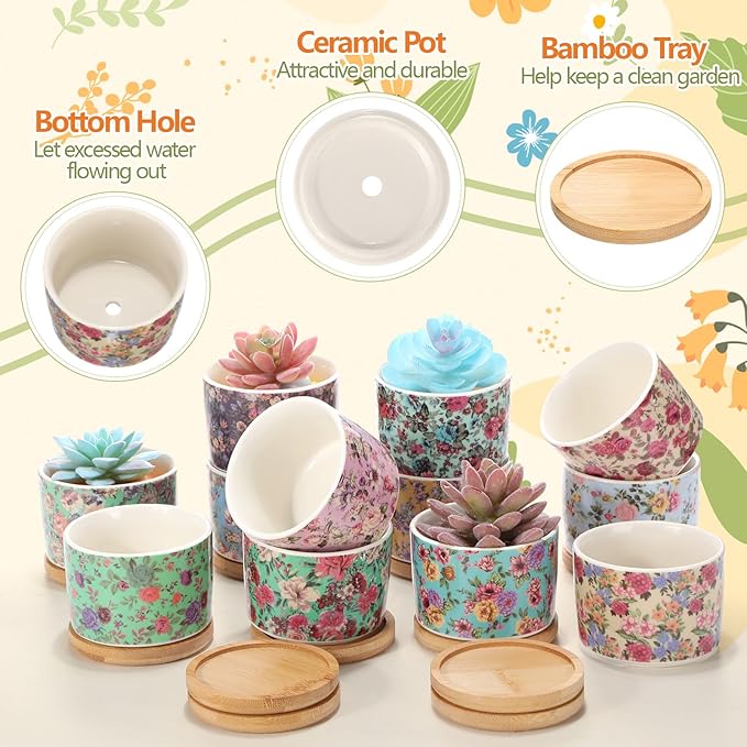12 Pack 3.14 Inch Ceramic Succulent Plant Pots Mini Flower Cylinder Pots with Drainage Hole and Bamboo Trays for Small Plants Flowers Cactus Home Office Decor(Chinoiserie)