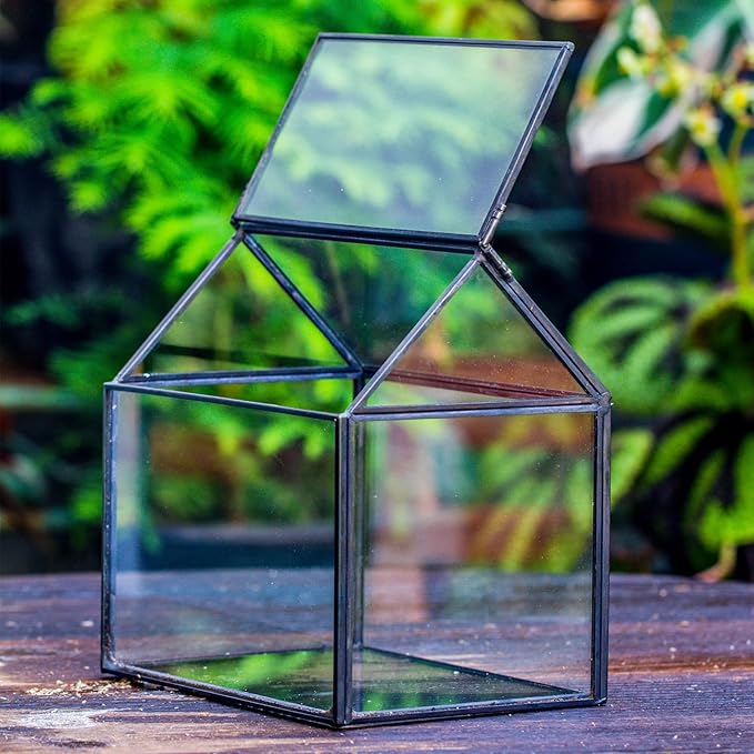 NCYP Small Glass Terrarium with Lid for Plant Succulent - 6.1 X 4.33 X 6.3 Inches - House Shape Flower Pot, Garden Tabletop Decor Planter, Geometric Centerpiece, Black (No Plants)