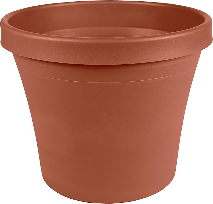 Bloem Terra Resin Saucer Tray: 8" Bottom Width - Matte, Durable, Ribbed Bottom, Indoor and Outdoor, Fits 10" Terra Pots, Terra Cotta