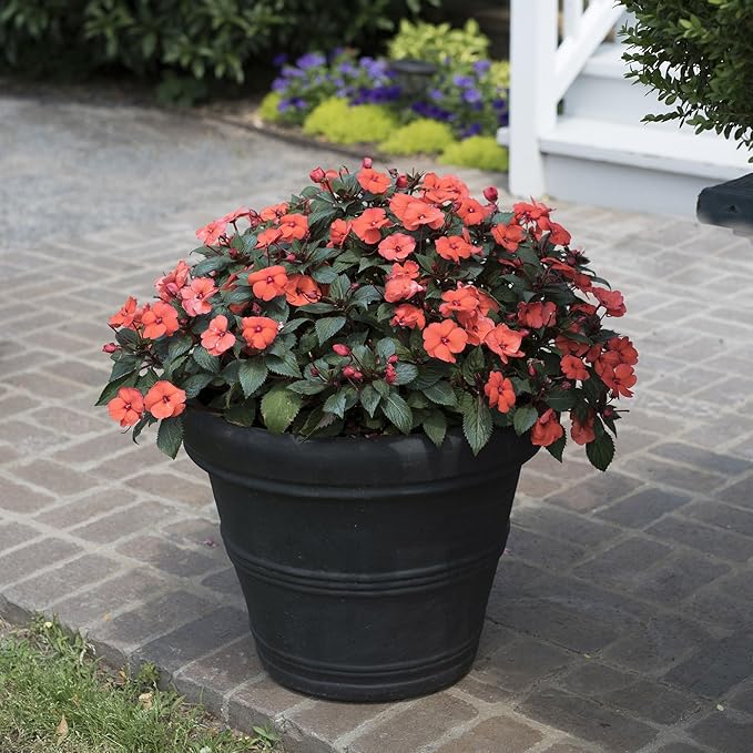 Crescent Garden Brunello Classic Rolled Rim Planter Pot, Indoor/Outdoor Weather-Safe Round Plant Pot, Premium Plastic Flowerpot for Houseplants, Herbs - 16''W (Black)