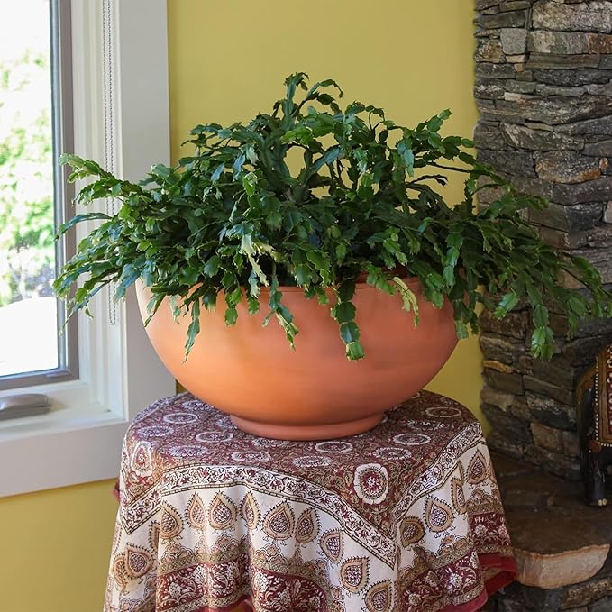 Small Burnt Sienna Decorative Bowl for Home Garden Tabletop Accent Rustic Indoor Outdoor Display Planter Style Bowl for Modern Decor Entryway Living Room Patio Styling