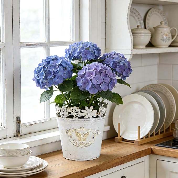Set of 3 Vintage French Country Planters, Distressed White Metal Flower Pots with Lace Cutout Rim, Le Jardin Embossed Plant Pots for Succulents, Herbs, Indoor Outdoor Home Garden Decor