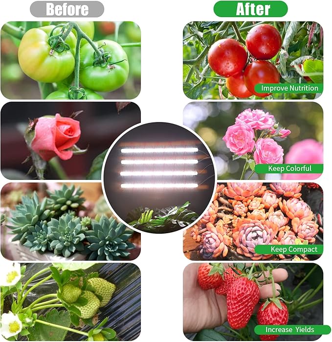 Grow Lights for Indoor Plants, 13" Grow Light Strips with Timer 3/9/12 H, 10 Dimmable Levels, 192 LEDs Full Spectrum Sunlight，Plant Growing Lamp for Indoor Greenhouse Seedlings, 4 Head