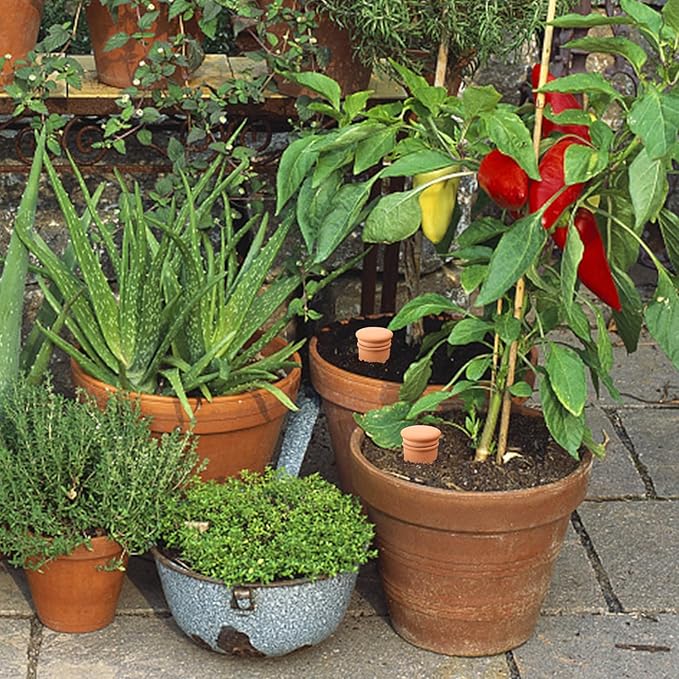 2pcs 10 * 5 * 5in Ollas Plant Watering Globes 61oz Terracotta Watering Pot Watering Bulbs for Outdoor and Indoor Plants Large Reservoir Bulbs with lid Terra Cotta Clay Irrigation Globes