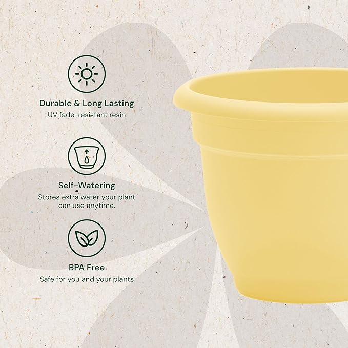 Bloem Ariana 6" Daffodil Round Self-Watering Resin Planter Pot - Rolled Rim Indoor and Outdoor Gardening Planter